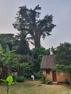 © Auberge vigoureux 2025