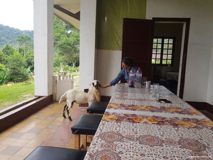© Auberge vigoureux 2025